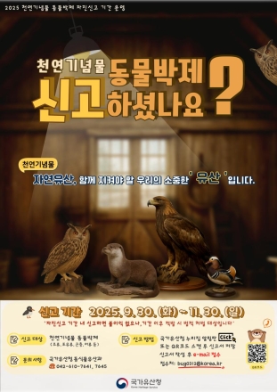 천연기념물 동물 불법 박제·표본, 자진 신고하세요!