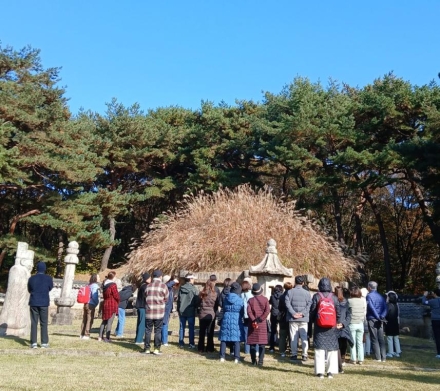 가을 억새 장관 속으로… 태조 이성계 '건원릉' 능침 특별 개방