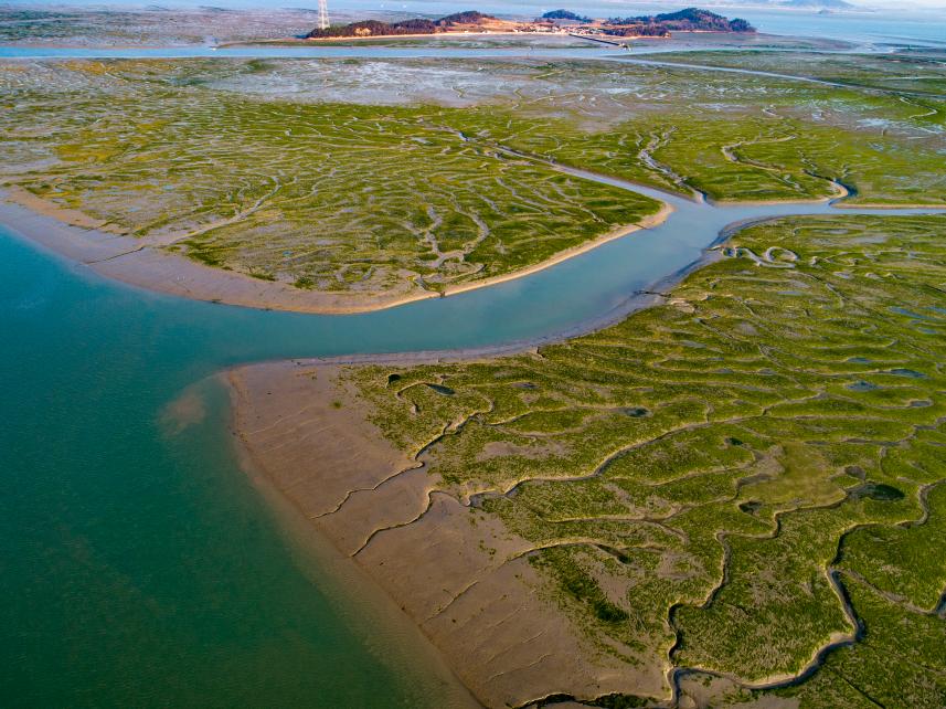 IUCN, ‘한국의 갯벌’ 2단계 세계유산 확대 등재 ‘승인 권고’… 7월 최종 결정